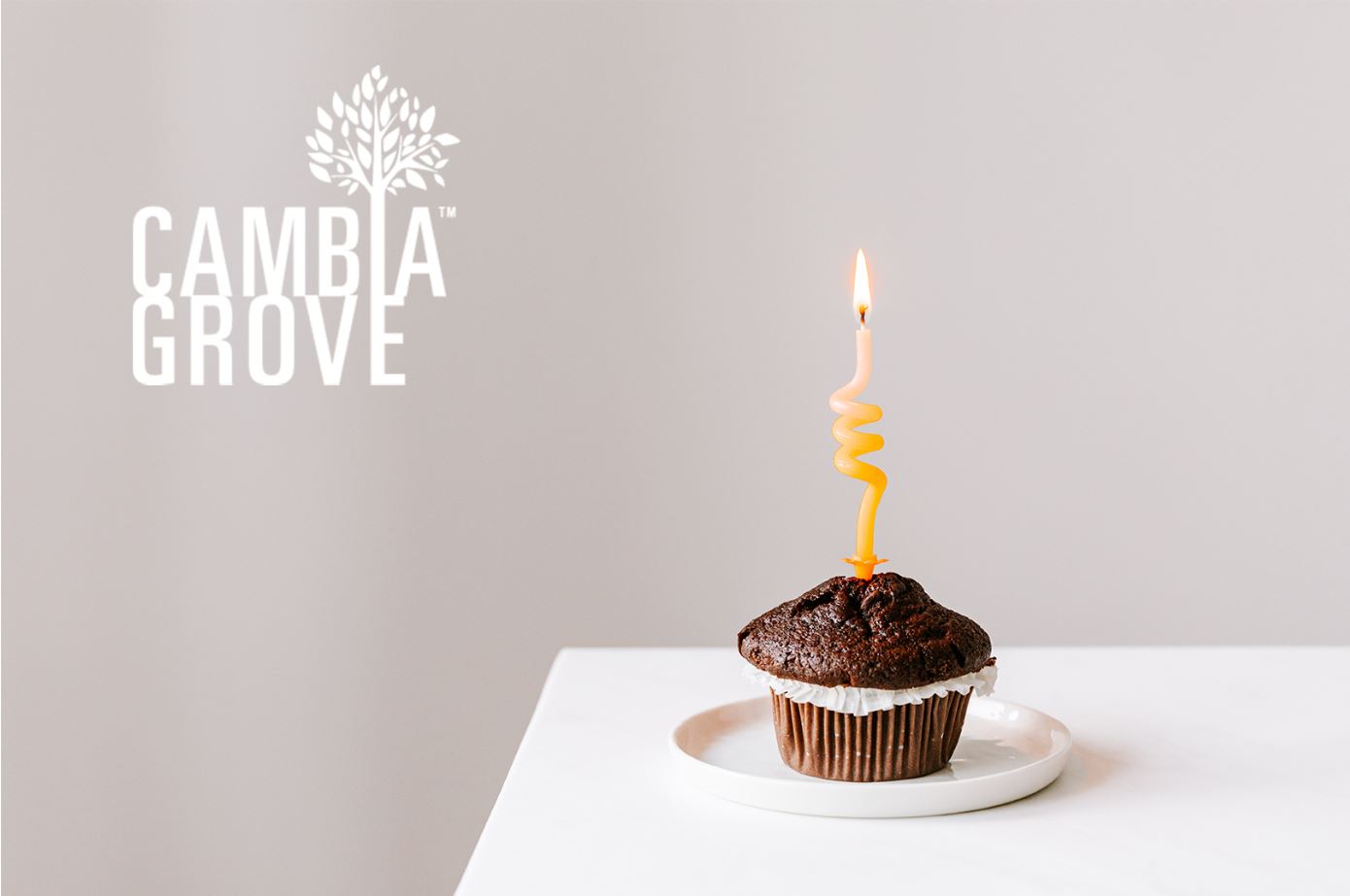 Cambia Grove's 5 Year Anniversary