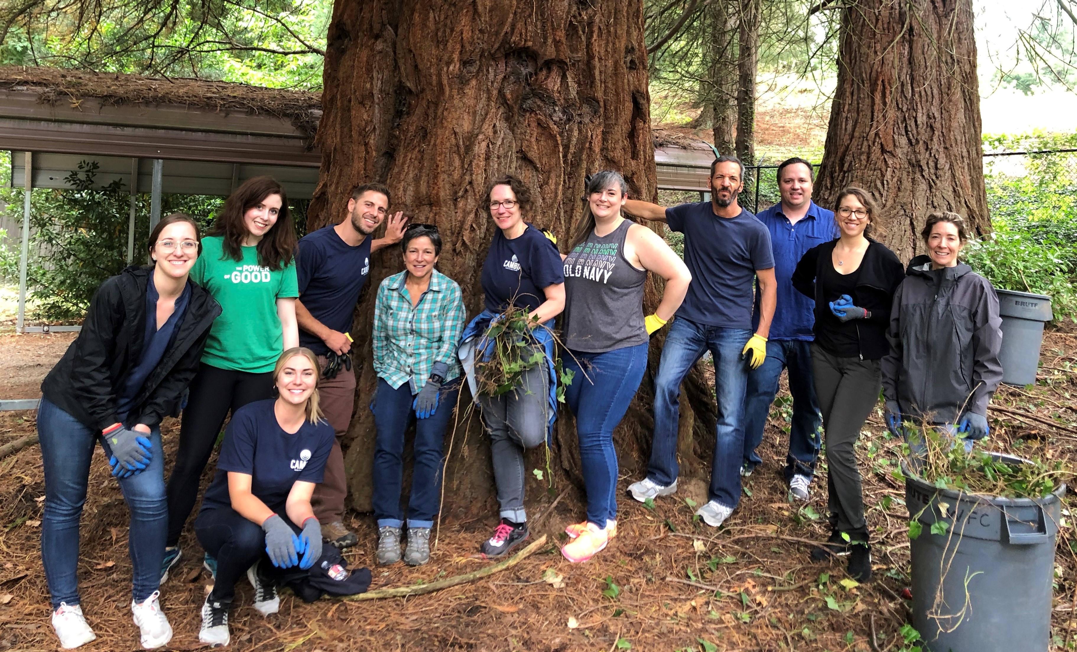 Beautifying green space at World Forestry Center April is Earth Month Cambia Invites All to Celebrate Virtually!