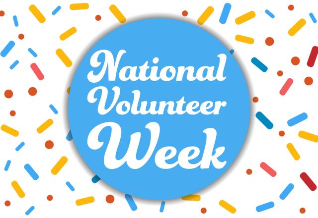 Cambia Employees Celebrate National Volunteer Week