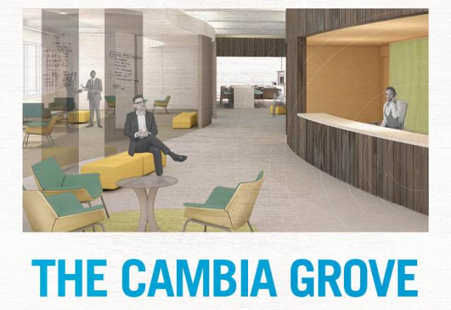 Cambia Grove imagery